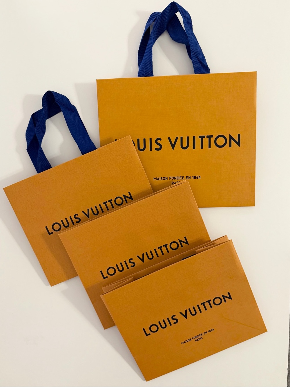 Louis Vuitton Shopping Bags